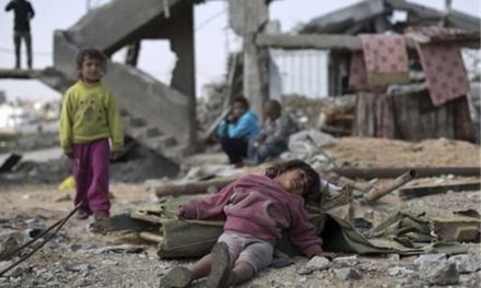 المسلم الحر: مسؤولية المجتمع الدولي اسعاف الشعب اليمني ووقف الحرب فورا