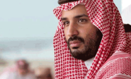 بيان منظمة اللاعنف العالمية حول الانفتاح الذي دعا اليه ولي العهد السعودي الأمير محمد بن سلمان