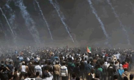 اللاعنف العالمية تدين المجزرة الإسرائيلية وتدعو الى حل عادل للقضية الفلسطينية