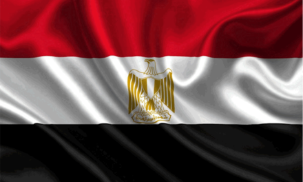 اللاعنف العالمية تحذر من تداعيات سياسة السلطة في مصر