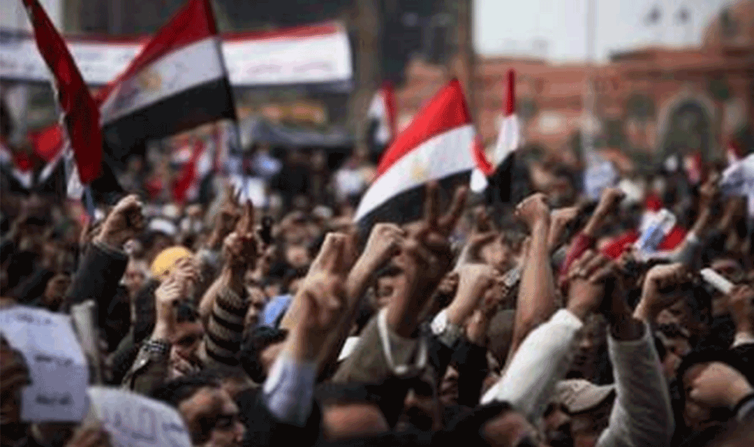 اللاعنف العالمية تدعو السلطات المصرية الى وقف عمليات الاعتقال بحق المعارضين السلميين