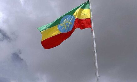 منظمة اللاعنف العالمية تطالب السلطات الاثيوبية بمعالجة المشاكل سلمياً