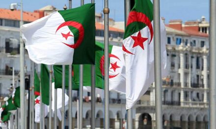 منظمة اللاعنف العالمية تطالب السلطات الجزائرية باطلاق سراح القاصرين