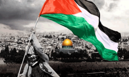 منظمة اللاعنف العالمية تدعو المجتمع الدولي للالتفات الى معاناة الشعب الفلسطيني
