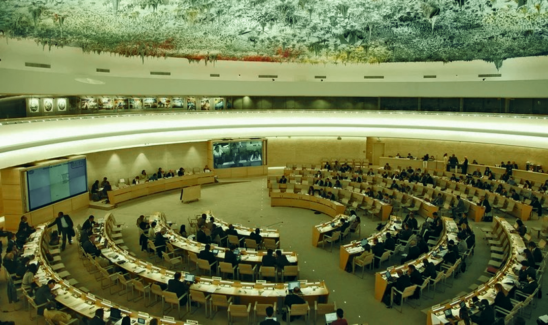 منظمة اللاعنف العالمية تتطلع ان يتناول منتدى الحضارات في المغرب قضايا حقوق الانسان