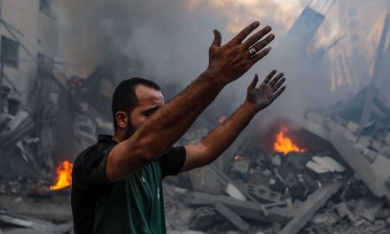 بيان منظمة اللاعنف العالمية حول الكارثة الإنسانية في غزة