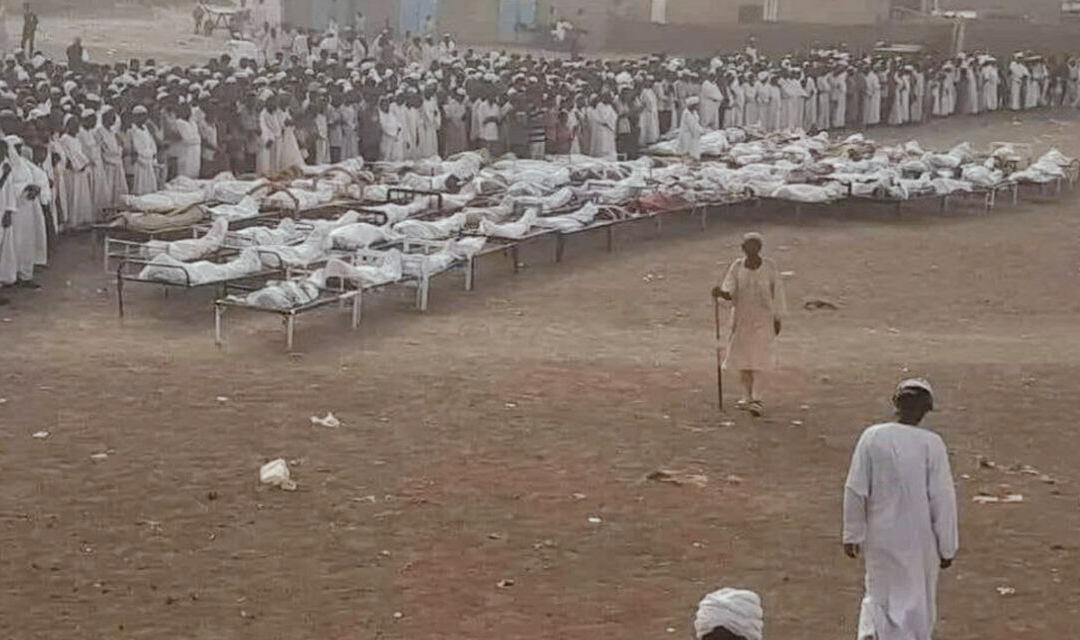 منظمة اللاعنف العالمية: تحذر من كارثة خفية تجري في السودان
