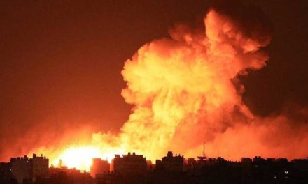 منظمة اللاعنف العالمية تدين القصف الاسرائيلي لسوريا