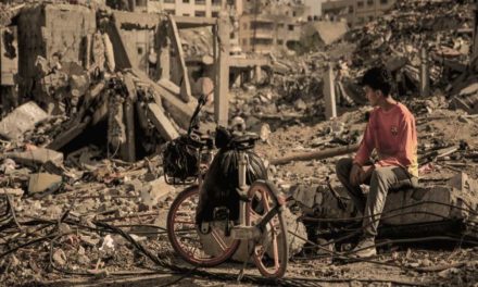 بيان منظمة اللاعنف العالمية بمناسبة يوم السكان العالمي: غزة وصمة عار في جبين الإنسانية