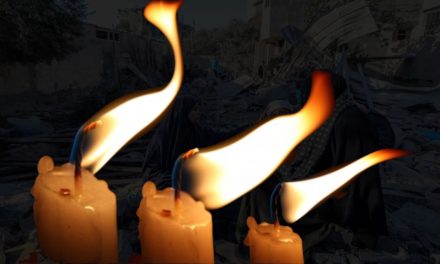 بيان منظمة المسلم الحر في اليوم الدولي لذكرى ضحايا الإرهاب