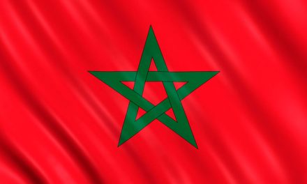 بيان منظمة اللاعنف العالمية بشأن الأحداث في المغرب
