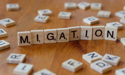 بيان منظمة المسلم الحر بمناسبة اليوم الدولي للمهاجرين