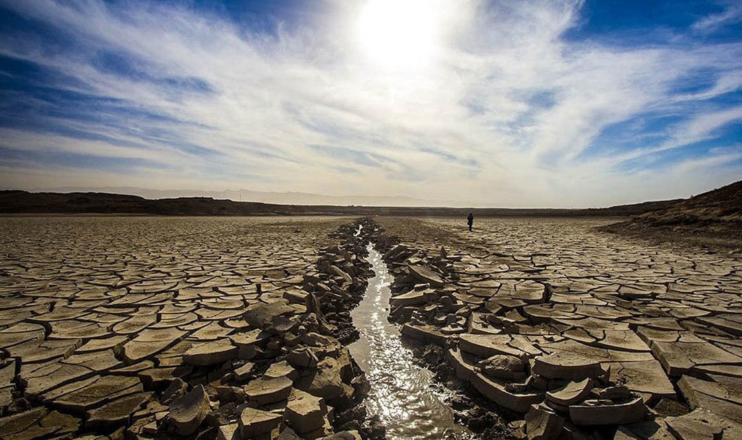 پیام سازمان جهانی نفی خشونت به مناسبت روز جهانی مبارزه با بیابان زایی و خشکسالی
