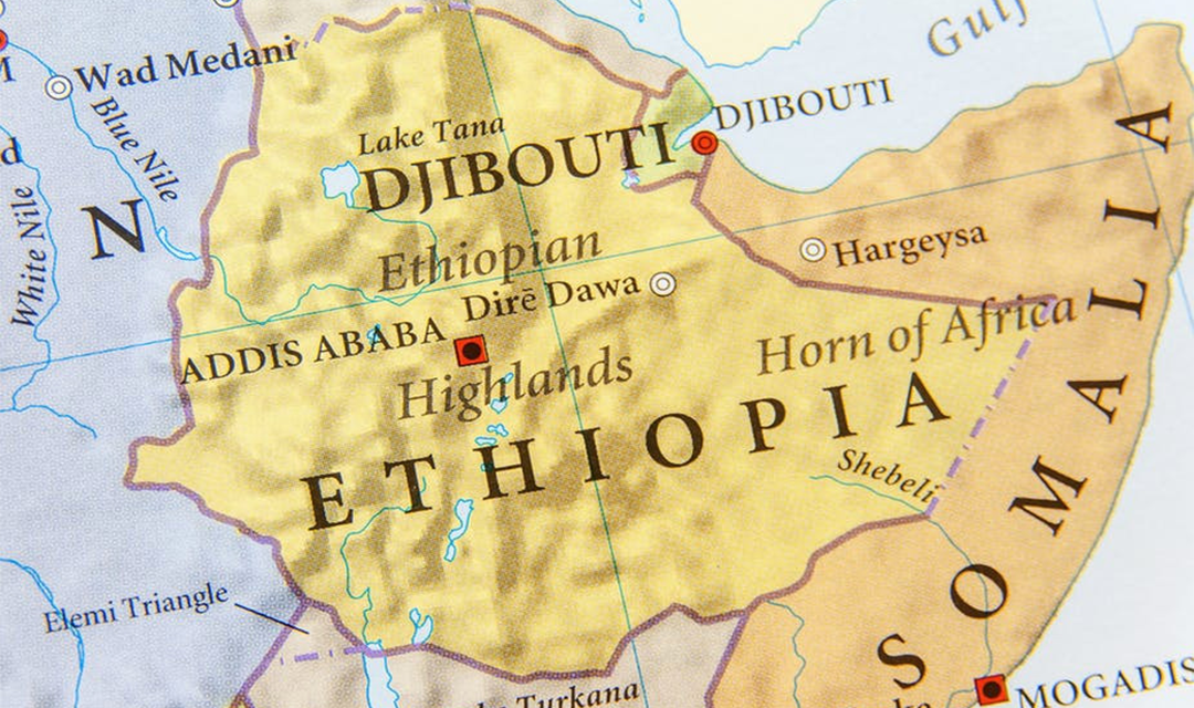 Changing Ethiopia: The Puzzle of Ethiopian Politics.