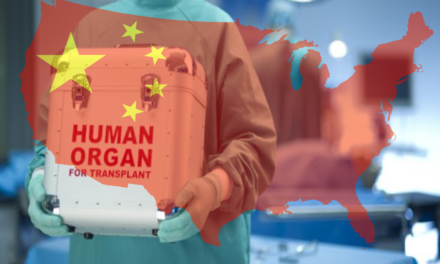 Organ Harvesting in China