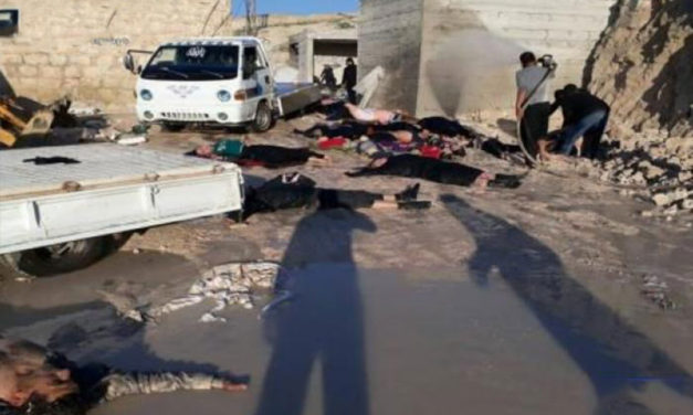 اللاعنف العالمية تطالب الامم المتحدة بتقصي الحقائق حول احداث خان شيخون