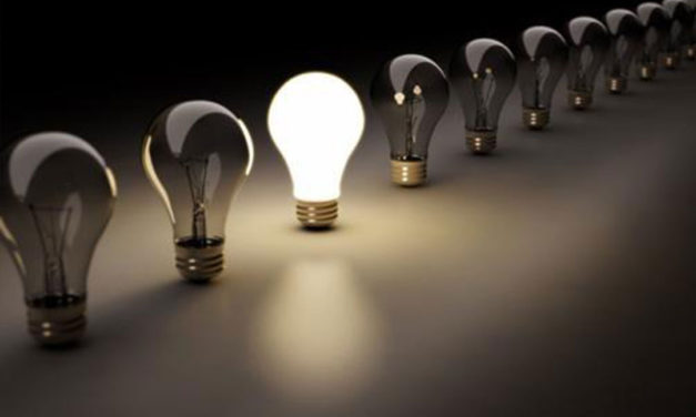 العنف ثقافة أم جهل