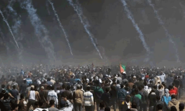 اللاعنف العالمية تدين المجزرة الإسرائيلية وتدعو الى حل عادل للقضية الفلسطينية