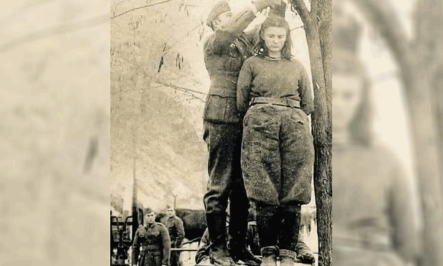 يموت الجبناء وهم احياء ويحيا الشجعان وهم اموات