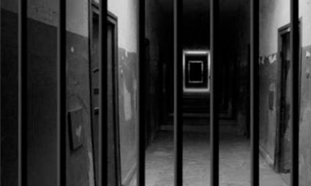 اللاعنف العالمية تدعو لتكثيف الجهود الدولية لكشف مصير المغيبين قسرياً