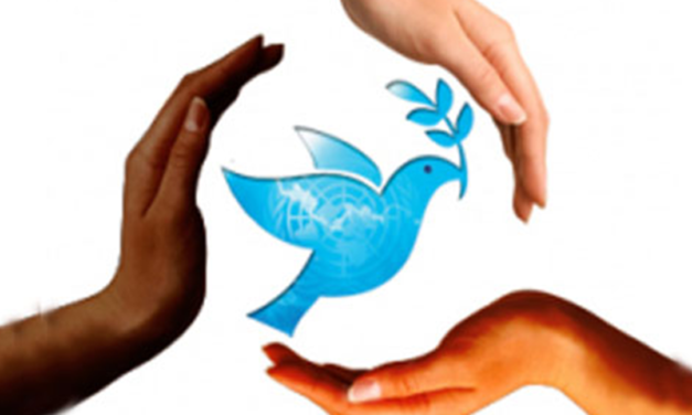 المسلم الحر في يوم السلام العالمي: المجتمع الدولي بات في امس الحاجة الى دعاة السلام