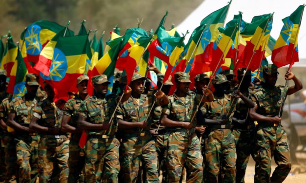 منظمة المسلم الحر تدعو أطراف الازمة في اثيوبيا الى ضبط النفس وعدم الانجرار للعنف