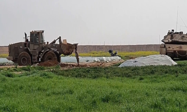 منظمة اللاعنف العالمية تستنكر التنكيل الإسرائيلي بجثة قتيل فلسطيني