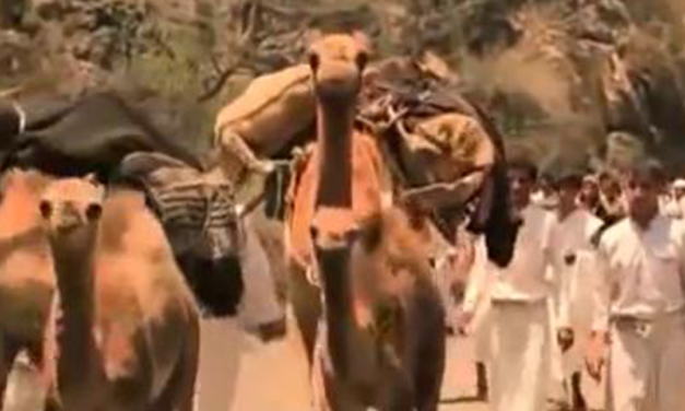 مجزرة تنومة المروعه التي ارتكبها جنود آل سعود بحق 3000 من الحجاج اليمنيين عام 1923م