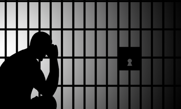 بيان منظمة اللاعنف العالمية في اليوم العالمي للنزيل