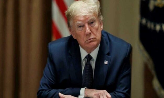 منظمة اللاعنف العالمية: قرار ترامب الأخير استخفاف بأرواح الأبرياء