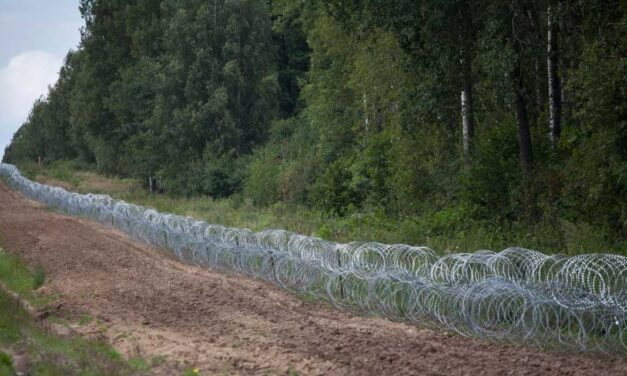 منظمة اللاعنف العالمية تدعو إلى وقف معاناة اللاجئين