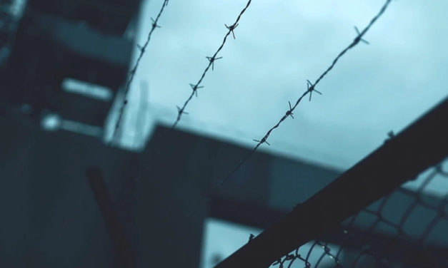 منظمة اللاعنف العالمية تطالب السلطات المغربية بالافراج عن معتقلي الرأي