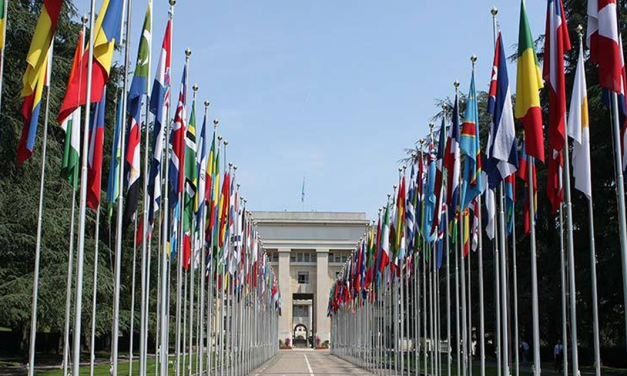 رسالة منظمة اللاعنف العالمية الى اجتماعات الدورة العامة في الامم المتحدة