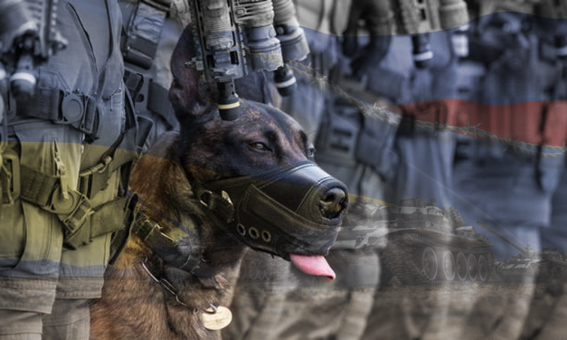 منظمة اللاعنف العالمية: اتركوا الحيوان خارج الحروب القذرة