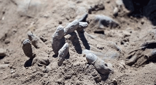 Death Tolls Rise as More Mass Graves are Found