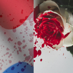 Fear Rattles Dutch Muslims 